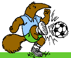 Anteater Soccer
