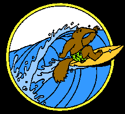 Anteater Surfing