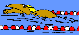 Anteater Swimming