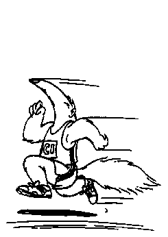 Men's Track