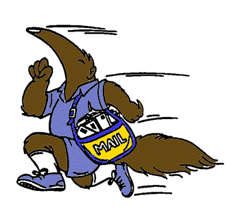 Anteater Surfing