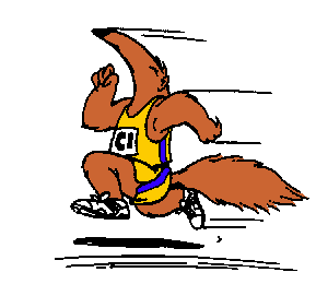 Men's Track